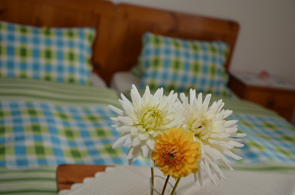 Haus Dachstein Schnitzer Hotell Eben Im Pongau Rum bild